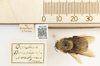 Media type: image;   Entomology 812106 Aspect: labels